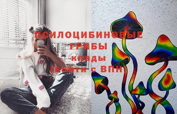 соль ск Арсеньев